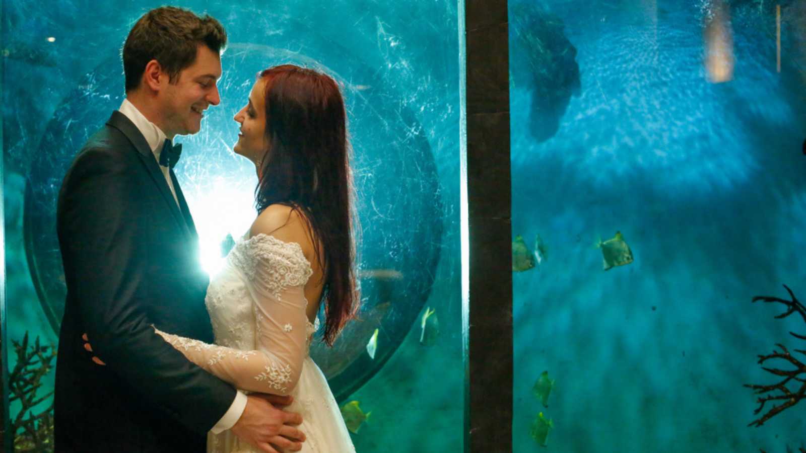 wedding couple posing in front of fish tank