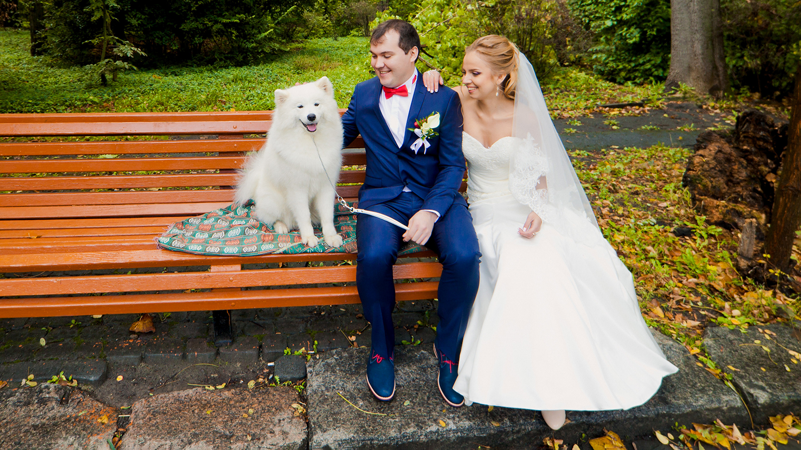 Romantic wedding couple with cute white hasky