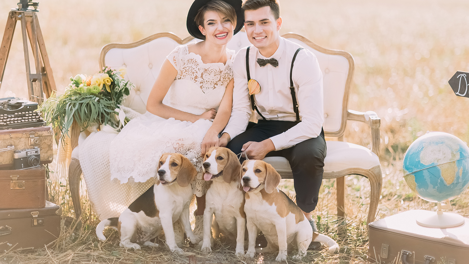 Happy newlyweds are sitting with the three little dogs on the old-fashioned sofa surrouned by the vintage suitcases, flowers and globe. The sunny field composition