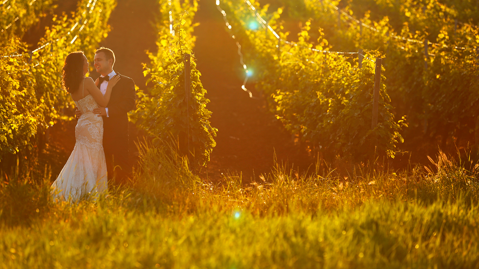 bride and groom walking in vineyard at sunrise