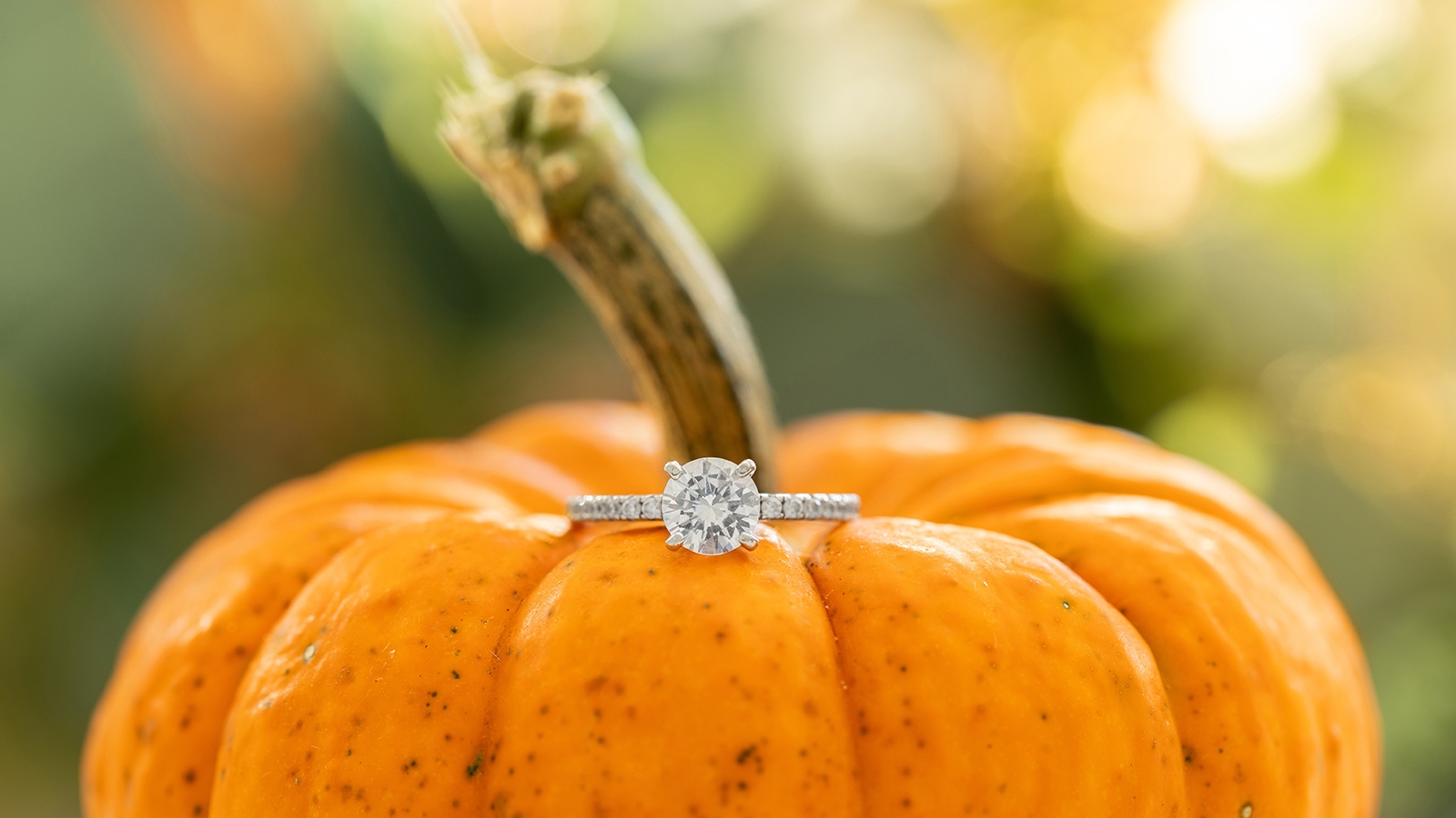 Engagement ring detail shot on an orange pumpkin with a beautiful blurred background. Low depth of field.