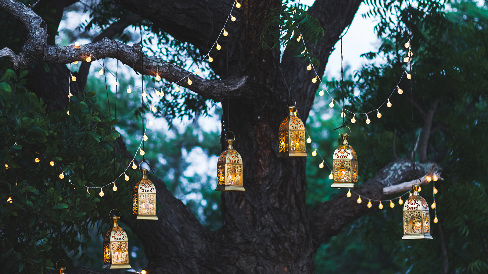 Night wedding ceremony with a lot of candles and vintage lamps on big tree