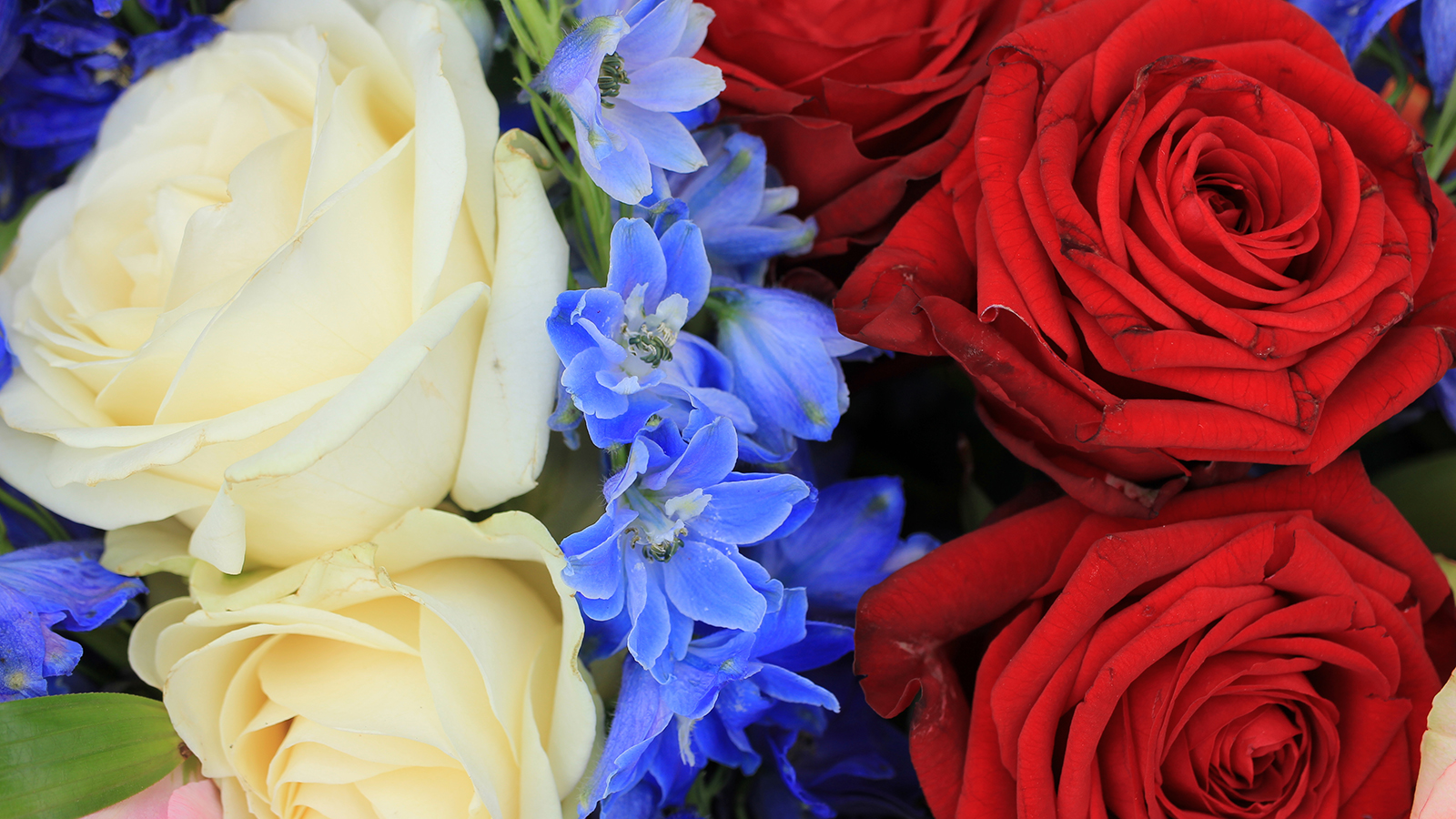 Red white and blue wedding flowers for a patriotic themed wedding