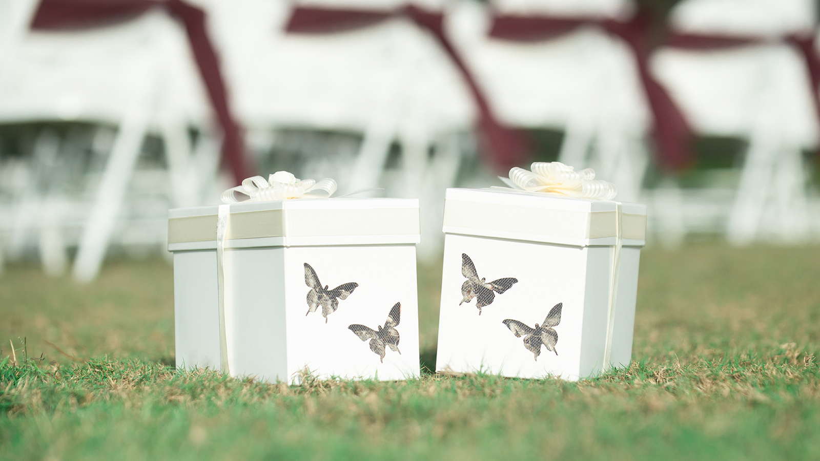 White butterfy release boxes with white bows and butterfly cut outs filled with real butterflies at wedding ceremony
